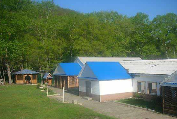 primkupon255_0002_0000.jpg