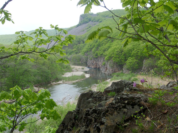 Партизанский Район Фото
