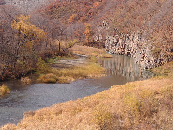 Партизанский Район Фото